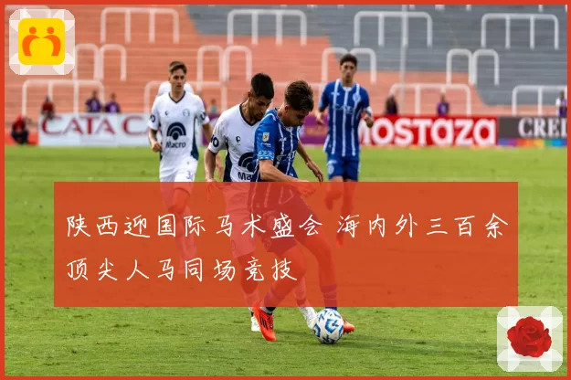 陕西迎国际马术盛会 海内外三百余顶尖人马同场竞技