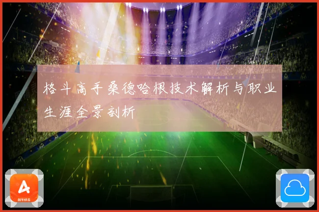 格斗高手桑德哈根技术解析与职业生涯全景剖析
