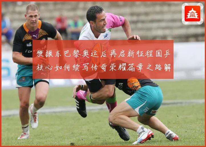 樊振东巴黎奥运后再启新征程国乒核心如何续写传奇荣耀篇章之路解析