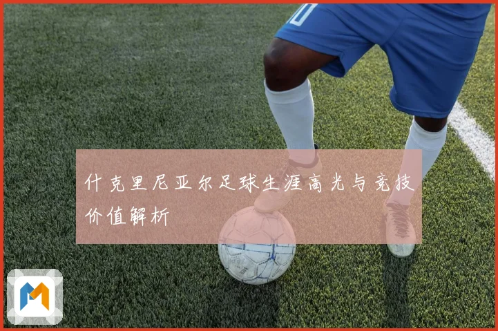 什克里尼亚尔足球生涯高光与竞技价值解析