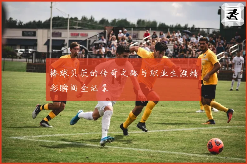 棒球贝茨的传奇之路与职业生涯精彩瞬间全记录