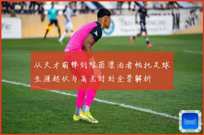 从天才前锋到绿茵漂泊者帕托足球生涯起伏与高光时刻全景解析